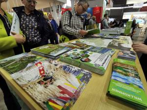 CMT 2020, foto Elvira Zagar (2)